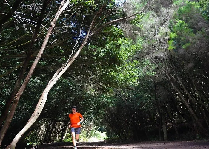 Stylish In * Тегесте