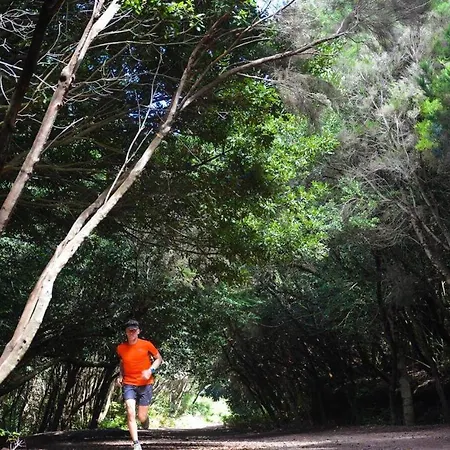 Stylish In * Tegueste